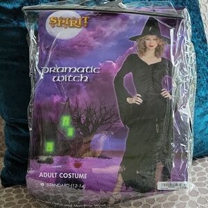 BUY IT NOW TO GET FOR HALLOWEEN!Spirit Dramatic Witch Costume-Black  Velvet Look
